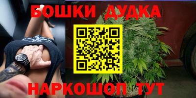 apvp Пугачёв