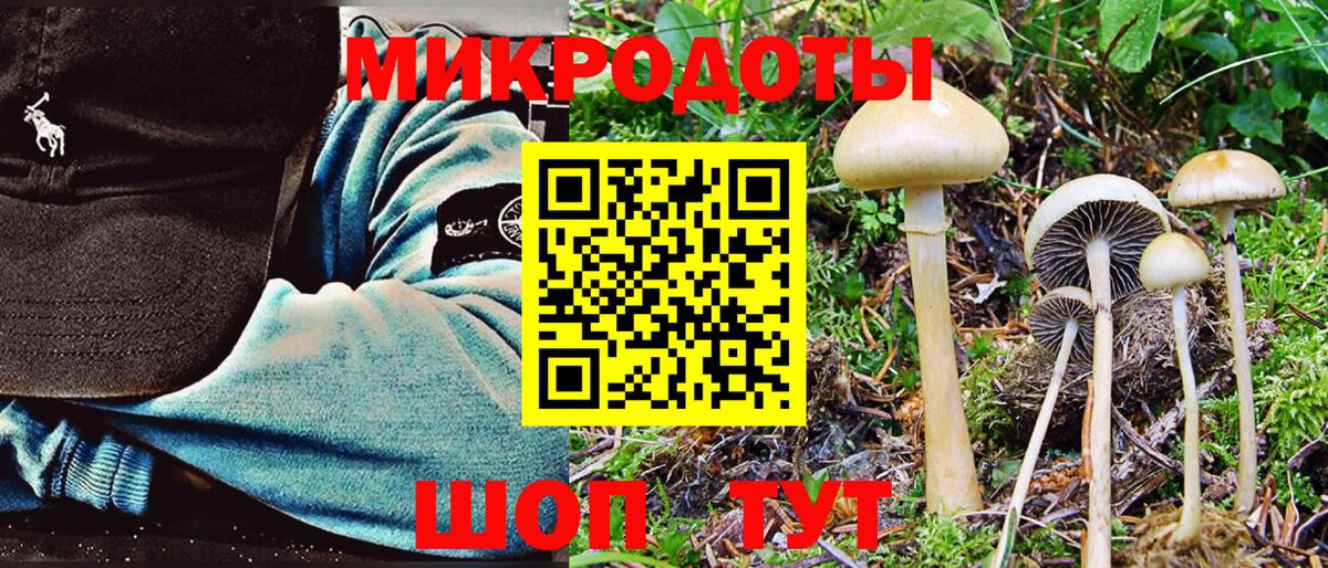 Галлюциногенные грибы прущие грибы Саров